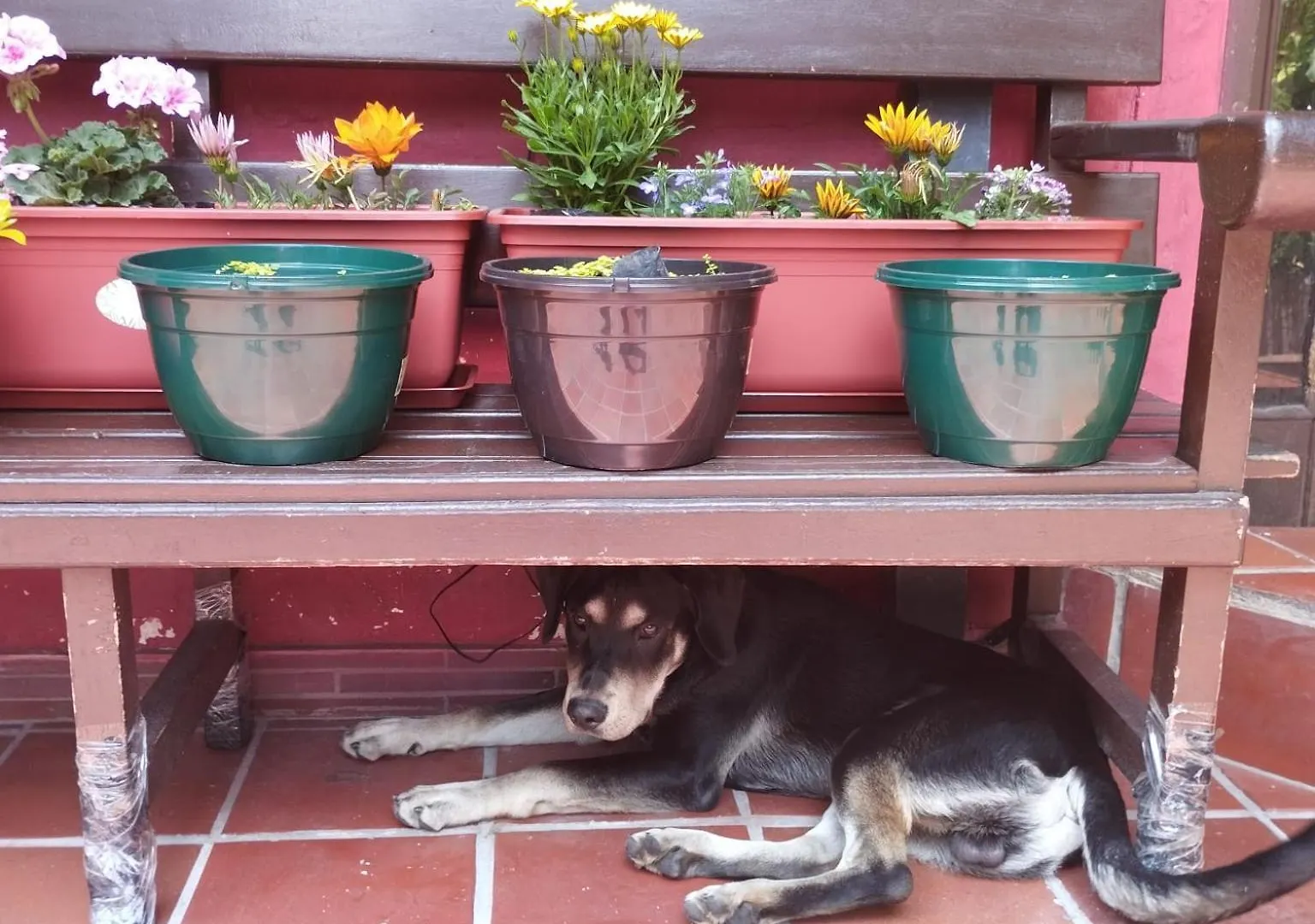 Hostal La Catolica Quito